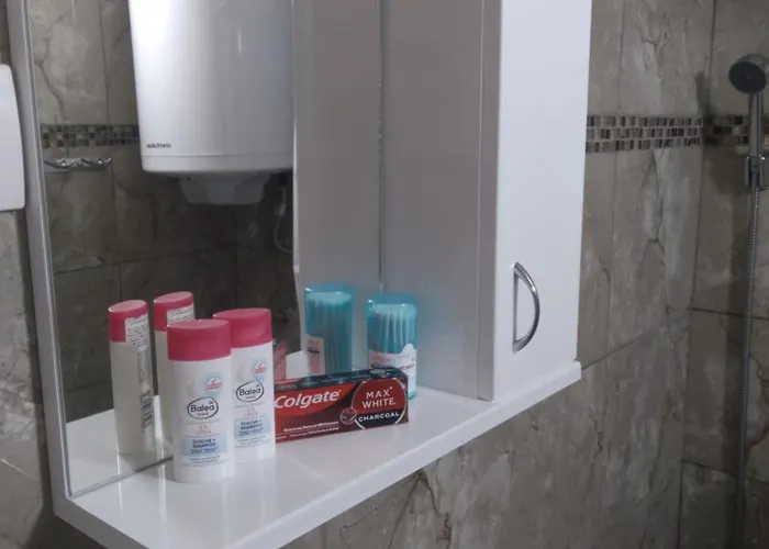 Dragana 公寓 斯雷姆斯卡米特罗维察