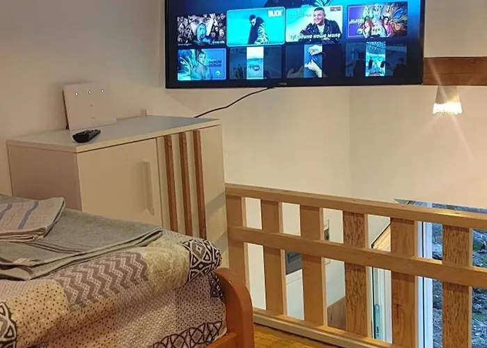 Dragana 斯雷姆斯卡米特罗维察