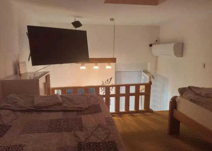 Dragana 公寓 斯雷姆斯卡米特罗维察